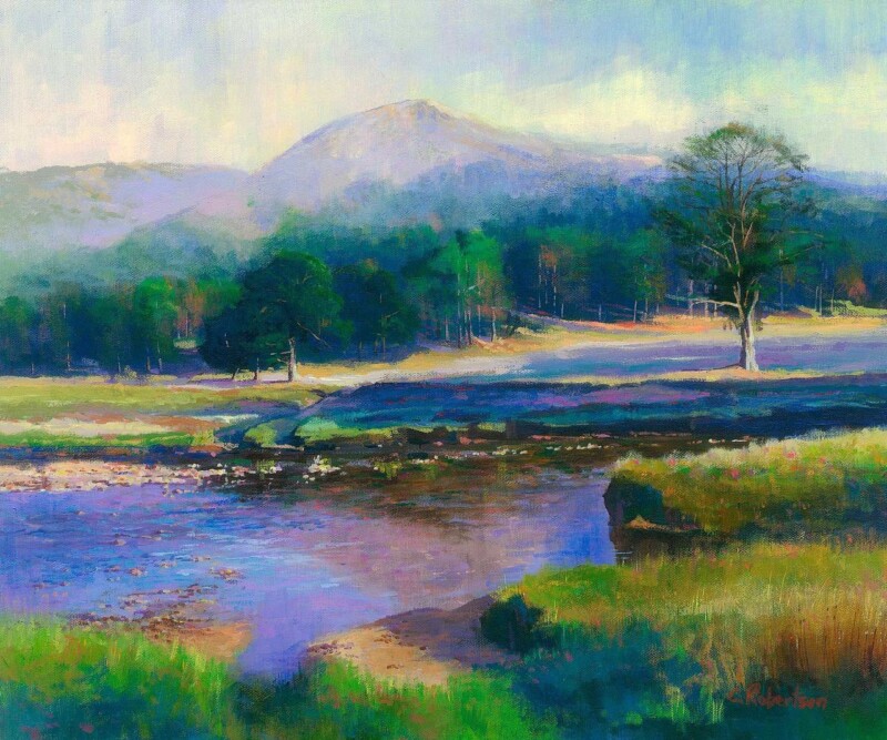 Image of Where Silence Speaks by Colin Robertson